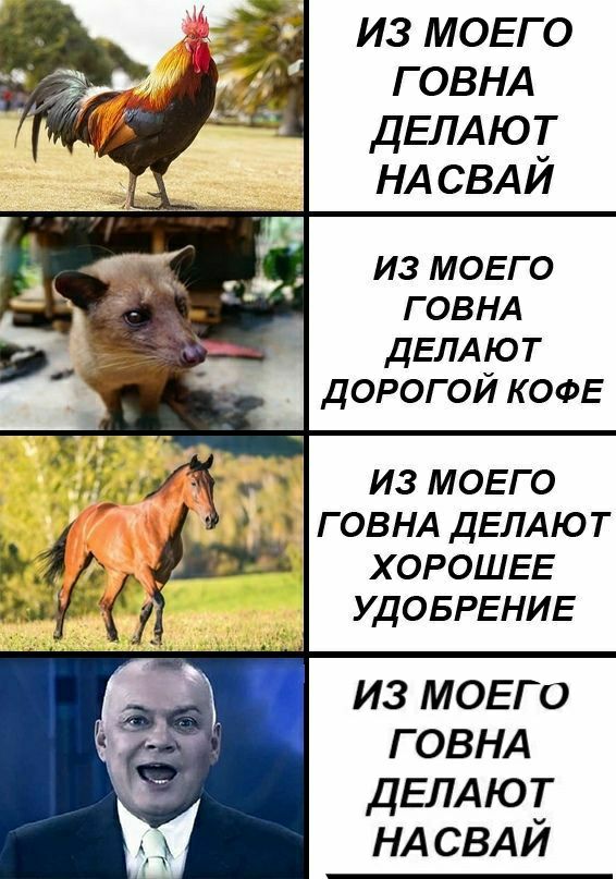 ИЗ МОЕГО ГОВНА ДЕЛАЮТ НАСВАЙ ИЗ МОЕГО 2 ГОВНА ДЕЛАЮТ ДОРОГОЙ КОФЕ A ИЗ МОЕГО ДЕЛАЮТ ХОРОШЕЕ УДОБРЕНИЕ ИЗ МОЕГО ГОВНА ДЕЛАЮТ A НАСВАЙ