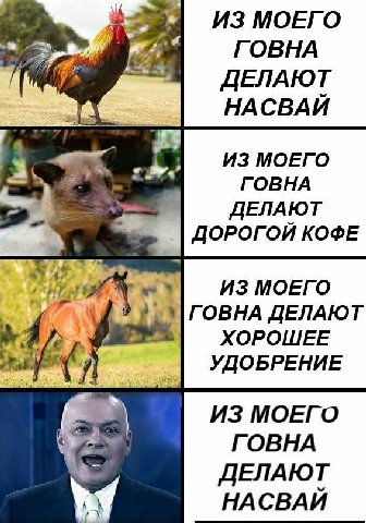 ИЗ МОЕГО ГОВНА ДЕЛАЮТ НАСВАЙ ИЗ МОЕГО 2 ГОВНА ДЕЛАЮТ ДОРОГОЙ КОФЕ A ИЗ МОЕГО ДЕЛАЮТ ХОРОШЕЕ УДОБРЕНИЕ ИЗ МОЕГО ГОВНА ДЕЛАЮТ A НАСВАЙ