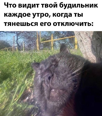Что видит твой будильник каждое утро, когда ты тянешься его отключить