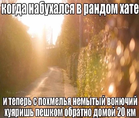 ИТЕПЕДЬ С ПОХМЕЛЬЯ вонючий хуяришь пешком обратно домой 20
