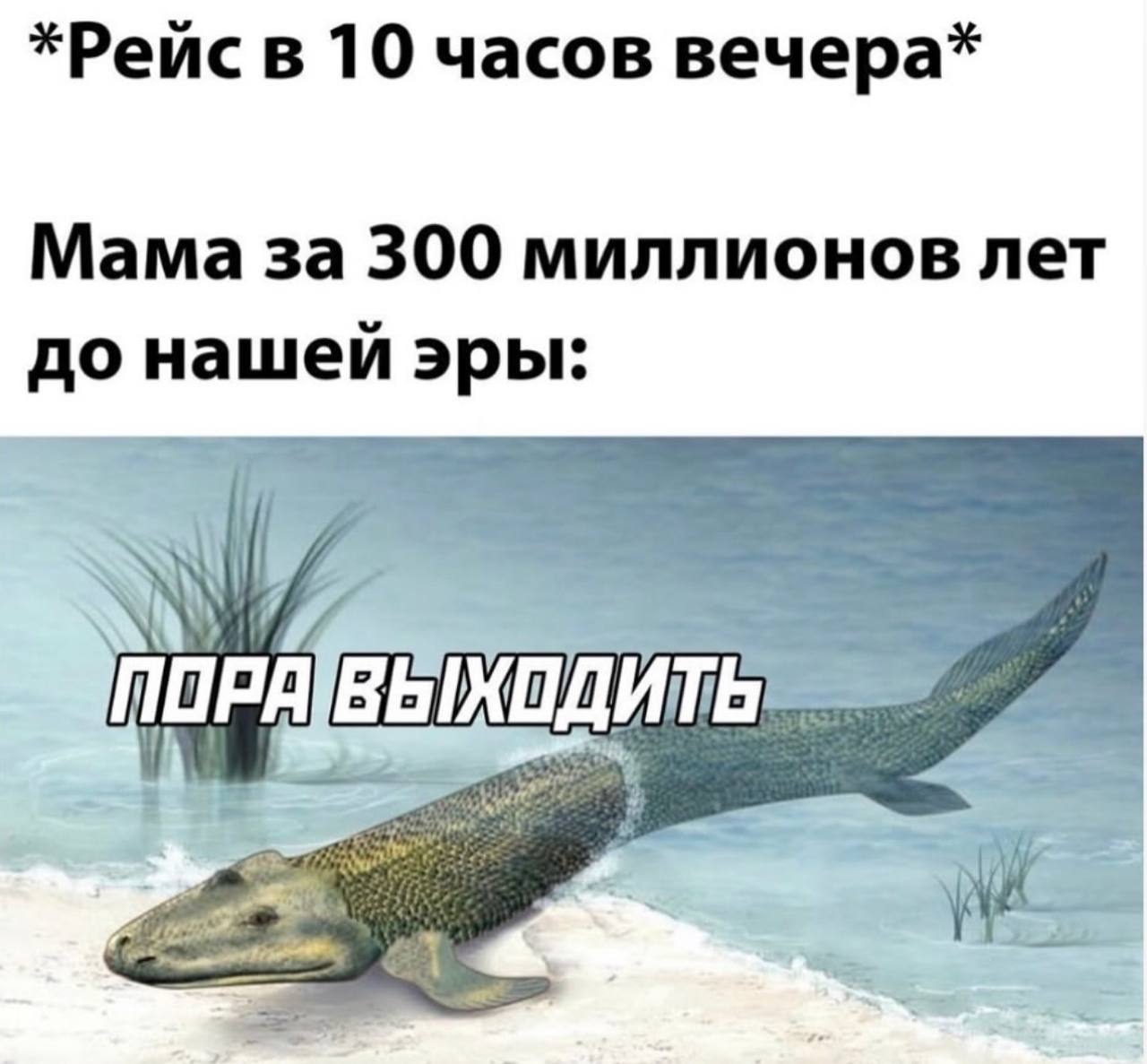 *Рейс в 10 часов вечера* Мама за 300 миллионов лет до нашей эры: