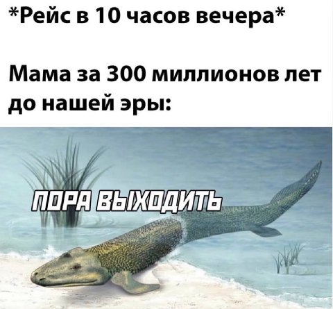 *Рейс в 10 часов вечера* Мама за 300 миллионов лет до нашей эры: