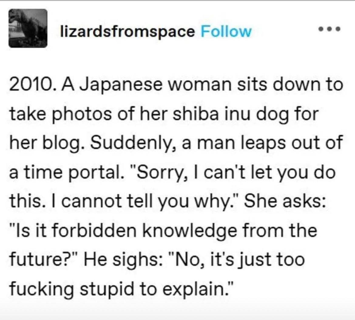 eee lizardsfromspace Follow 2010. A Japanese woman sits down to take photos of her shiba inu dog for her blog. Suddenly, a man leaps out of a time portal. “Sorry, can't let you this. cannot tell you w
