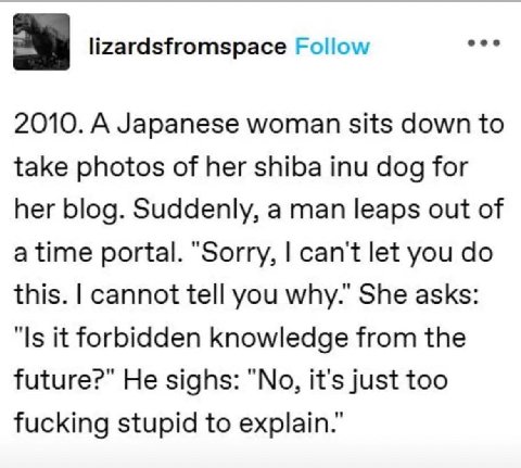 eee lizardsfromspace Follow 2010. A Japanese woman sits down to take photos of her shiba inu dog for her blog. Suddenly, a man leaps out of a time portal. “Sorry, can't let you this. cannot tell you w