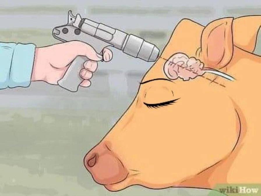 Я