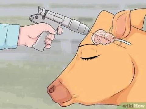 Я