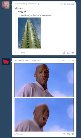unfollowing a dildo if you're brave enough 4