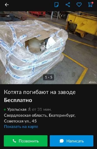 OF 4%, it Котята погибают на заводе Бесплатно Уральская от 31 мин. Свердловская область, Екатеринбург, Советская 45 Показать на карте