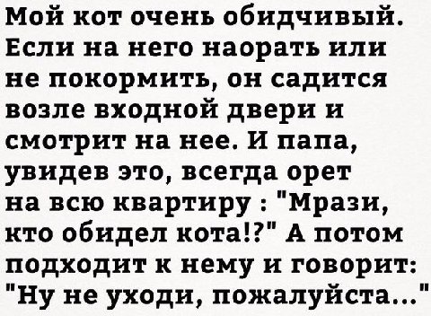 Мой кот очень обидчивый. Если на него наорать или не покормить, он садится возле входной двери и смотрит на нее. И папа, увидев это, всегда орет на всю квартиру "Мрази, кто обидел кота!?" А потом подх