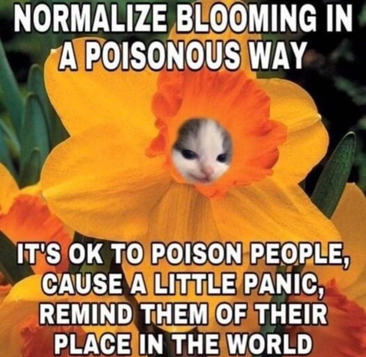 NORMALIZE BLOOMING IN “A POISONOUS WAY IT'S TO POISON PEOPLE, CAUSE A LITTLE PANIC, REMIND THEM OF THEIR PLACE IN THE WORLD