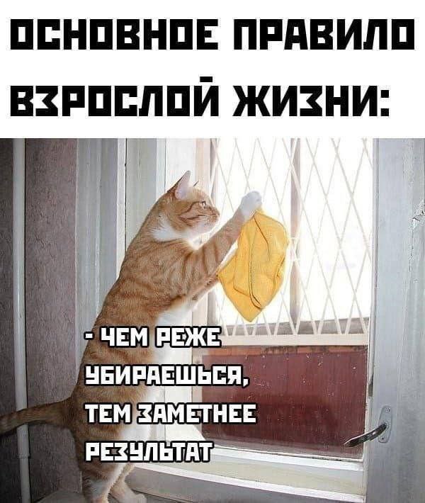 ОСНОВНОЕ ПРАВИЛО ЖИЗНИ ith ЕТНЕЕ