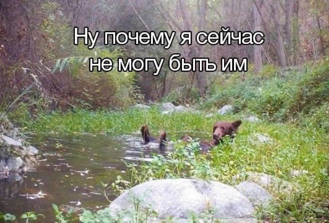 Ну почему я сейчас ‘не.могу быть We 18 at 2 “1