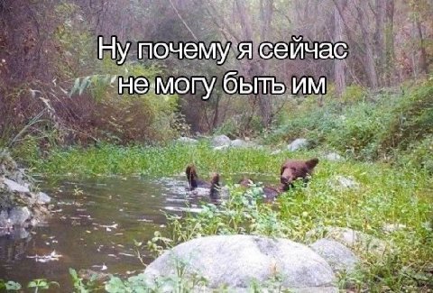 Ну почему я сейчас ‘не.могу быть We 18 at 2 “1