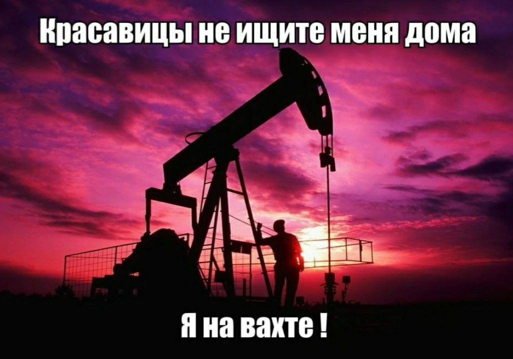 Красавицы не ищите меня дома Яна вахте
