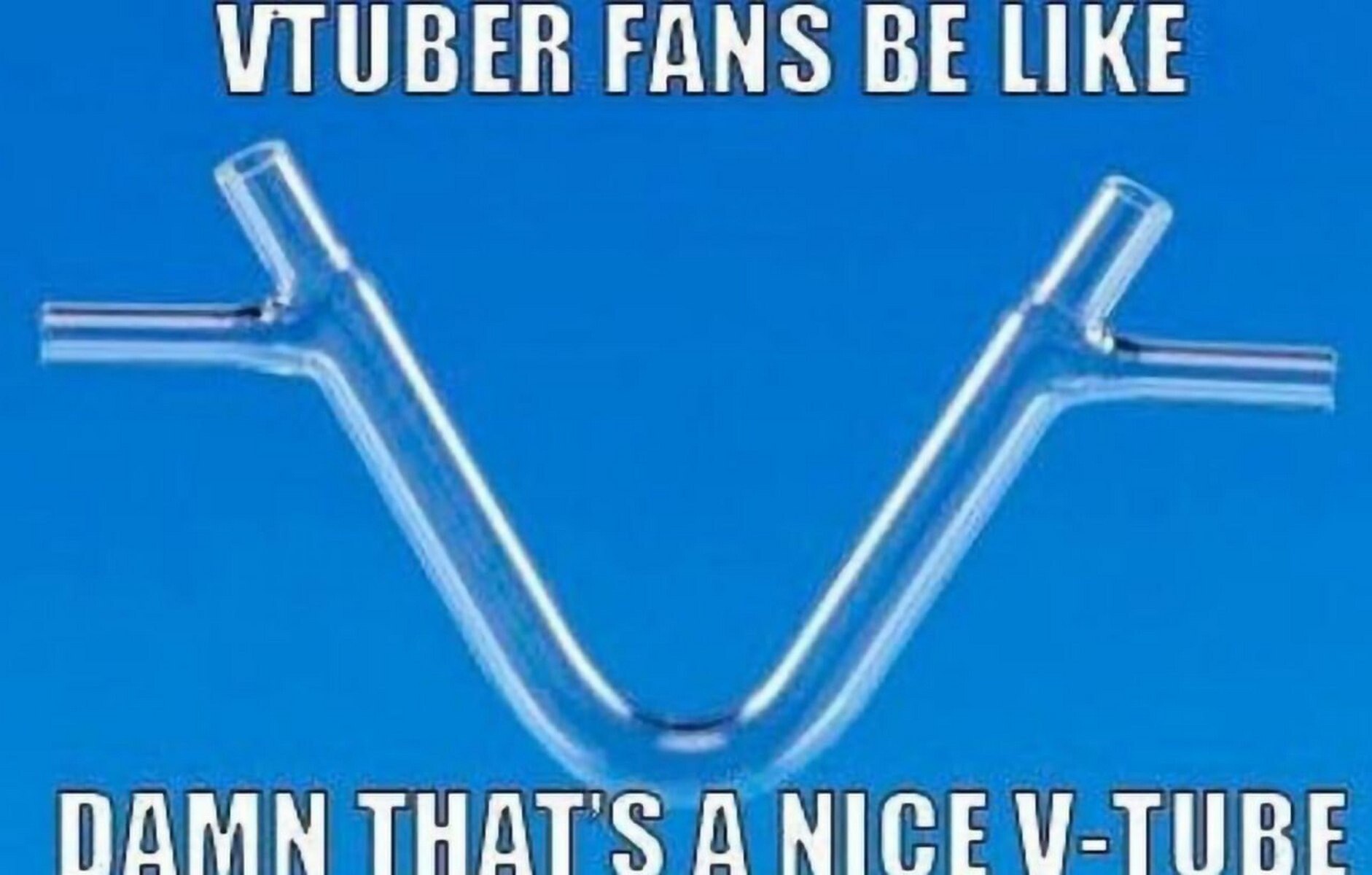 \ТОВЕВ FANS BE LIKE ПАММ THATS