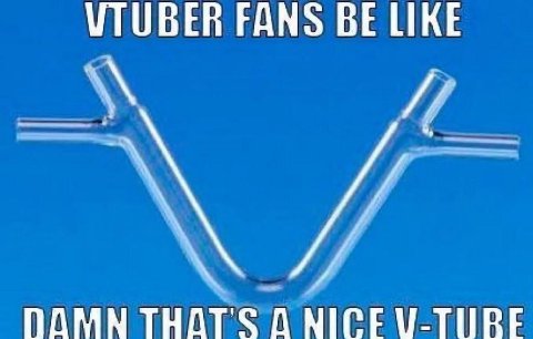 \ТОВЕВ FANS BE LIKE ПАММ THATS