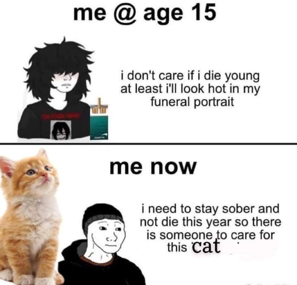 age 15 i don't саге if i die young at least i'll look hot in my funeral portrait пом ort i need to stay sober and not die this year so there is someone to саге for this Cat