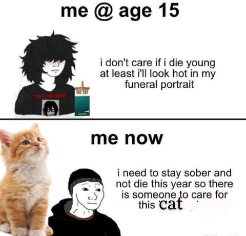age 15 i don't саге if i die young at least i'll look hot in my funeral portrait пом ort i need to stay sober and not die this year so there is someone to саге for this Cat