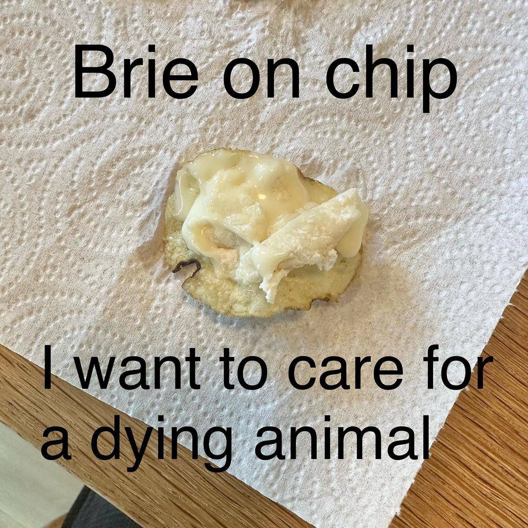 Sal to care 'а