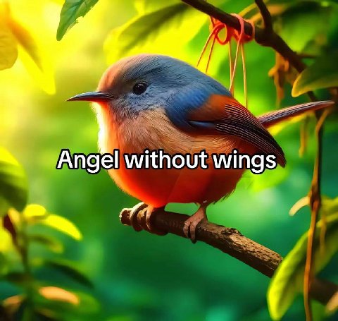 without wings