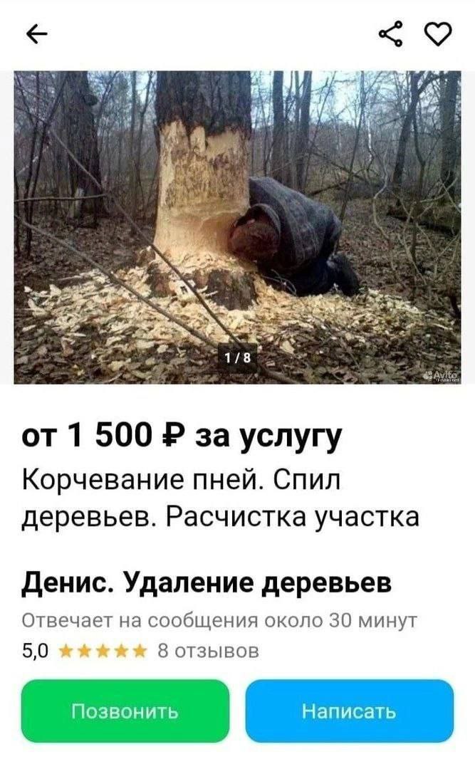 1%; A 1/8 1 500 за услугу Корчевание пней. Спил деревьев. Расчистка участка Денис. Удаление деревьев Отвечает на сообщения около 30 минут 5,0 8 отзывов