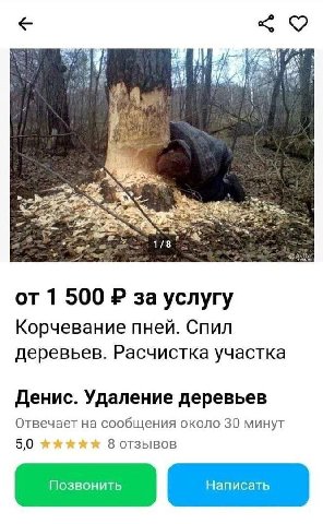 1%; A 1/8 1 500 за услугу Корчевание пней. Спил деревьев. Расчистка участка Денис. Удаление деревьев Отвечает на сообщения около 30 минут 5,0 8 отзывов