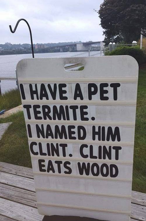 WAVE APET NAMED HIM CLINT. CLINT