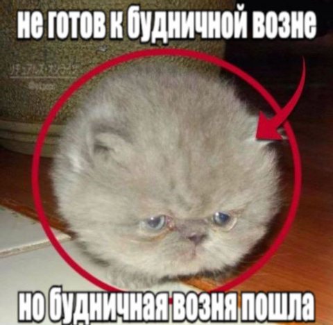 неготовк будничной возне 2 будничная возня пошла