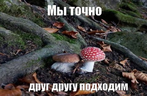Мы точно друг другу подходим