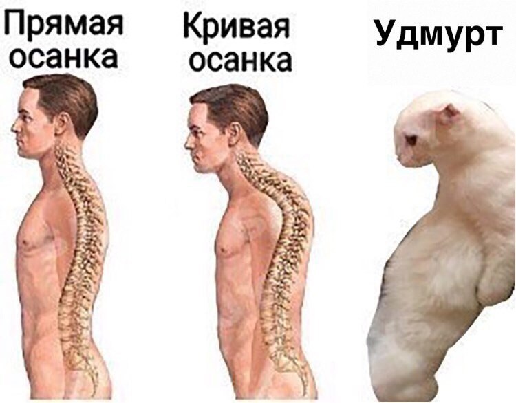 Прямая Кривая Удмурт осанка осанка у А