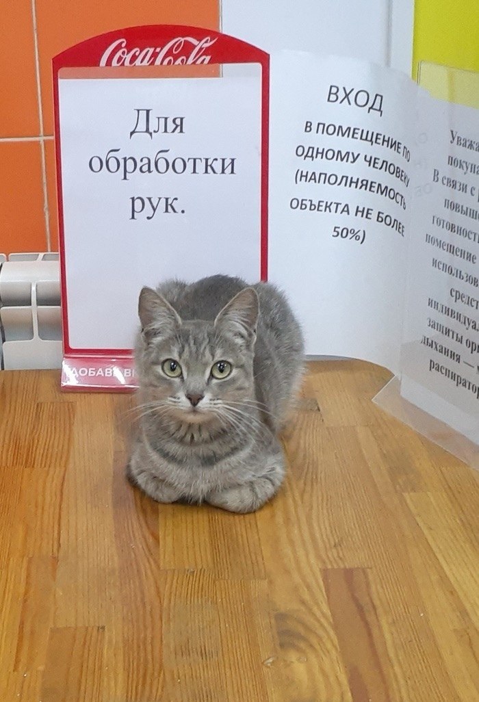 ВХОД Для Myy обработки рук. ОБЪЕКТА НЕ 50%)