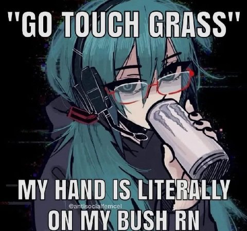 TOUCH GRASS" MY HAND IS LITERALLY ON MY BUSH