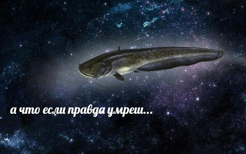 ачто если правда