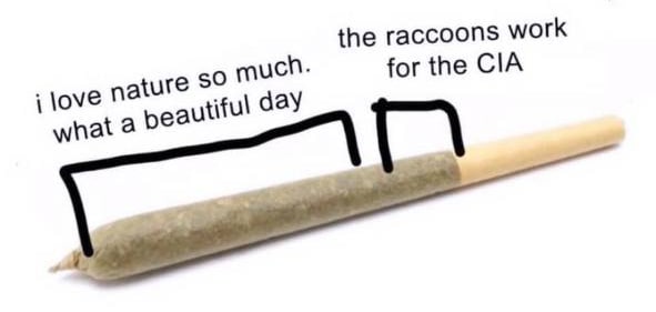 the raccoons work so mucn for the CIA i {ure hat be day