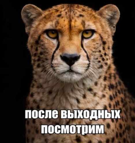 после выходных посмотрим