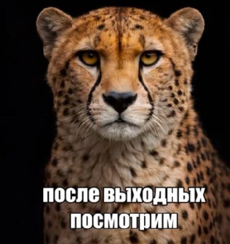 после выходных посмотрим
