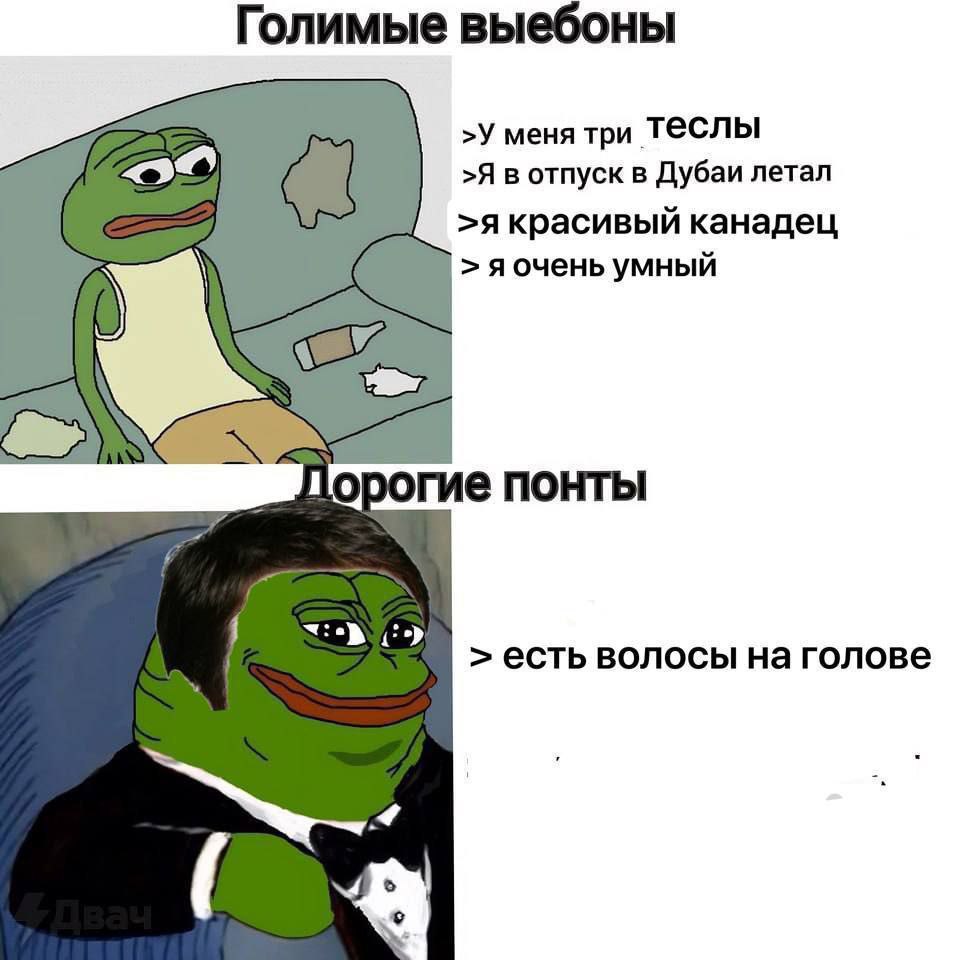 Голимые выебоны >У меня три Теслы >Я в отпуск в Дубаи летал >я красивый канадец яочень умный и порогие понты 1 есть волосы на голове