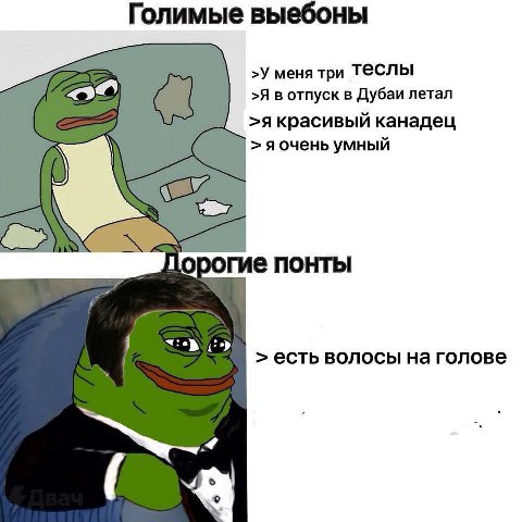 Голимые выебоны >У меня три Теслы >Я в отпуск в Дубаи летал >я красивый канадец яочень умный и порогие понты 1 есть волосы на голове