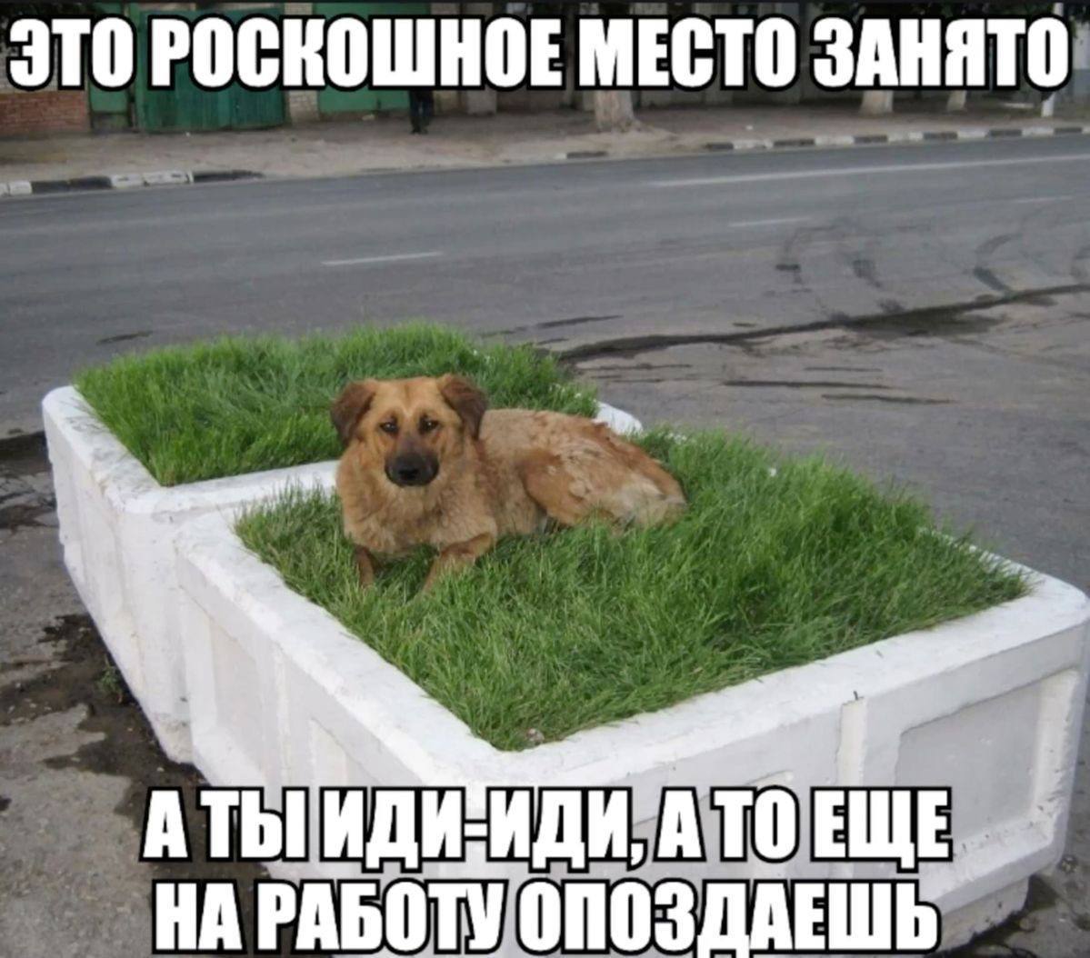 ЭТО РОСКОШНОЕ МЕСТО ЗАНЯТО А Thi И: то ЕЩЕ. НА РАБОТУ
