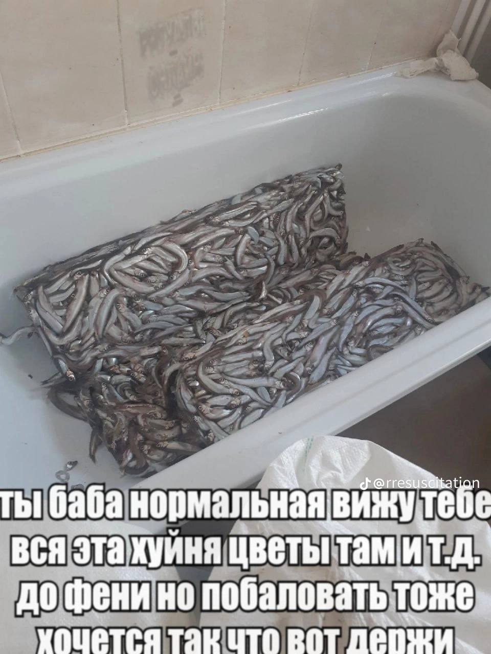 ты баба вижу тебе вся эта хуйня цветы тами до фени но побаловать хоцется так цто BOT