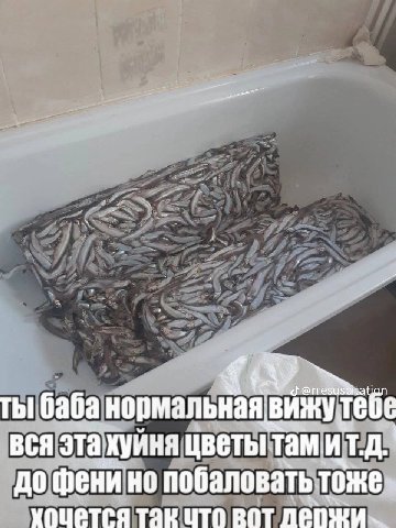 ты баба вижу тебе вся эта хуйня цветы тами до фени но побаловать хоцется так цто BOT