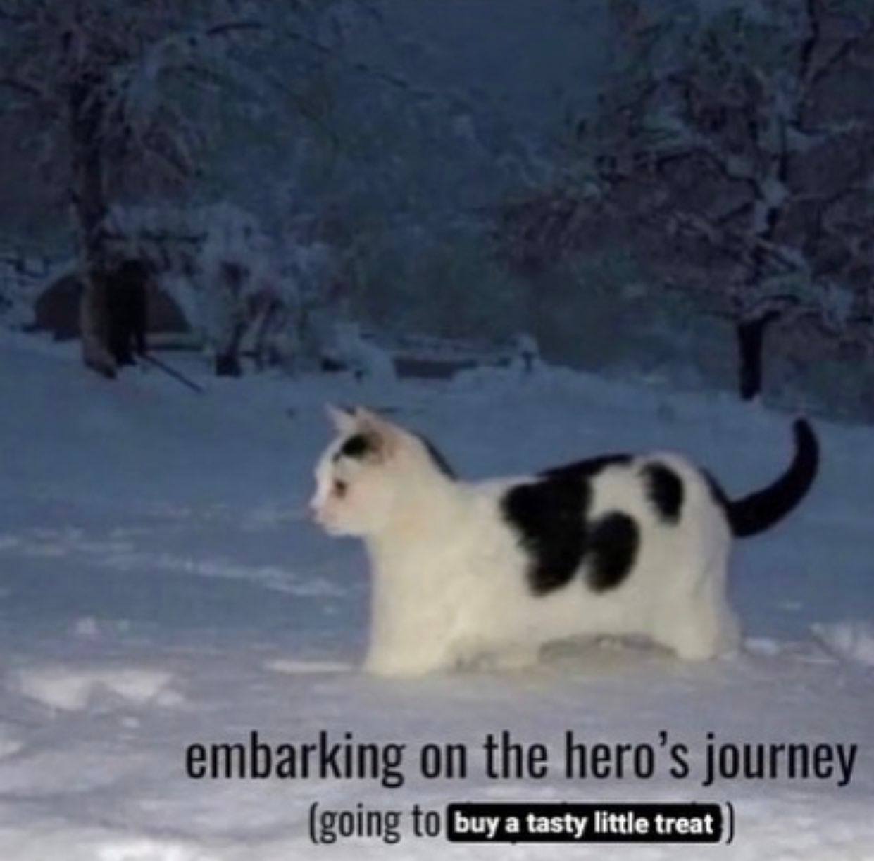 embarking on the hero’s journey (going ьчу а