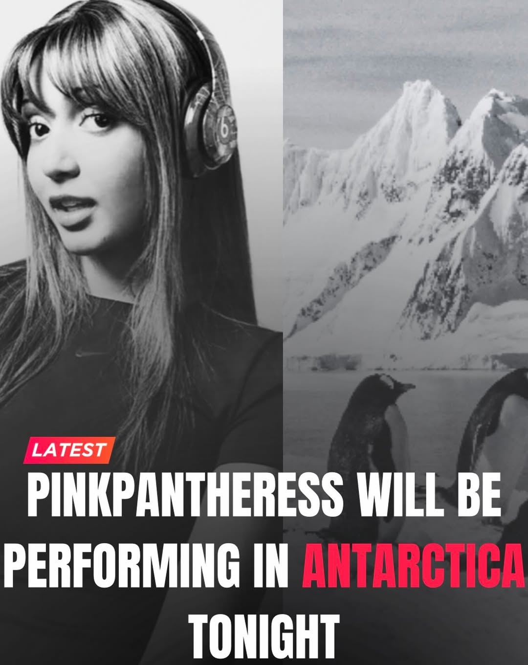 PINKPANTHERESS WILL BE PERFORMING IN TONIGHT