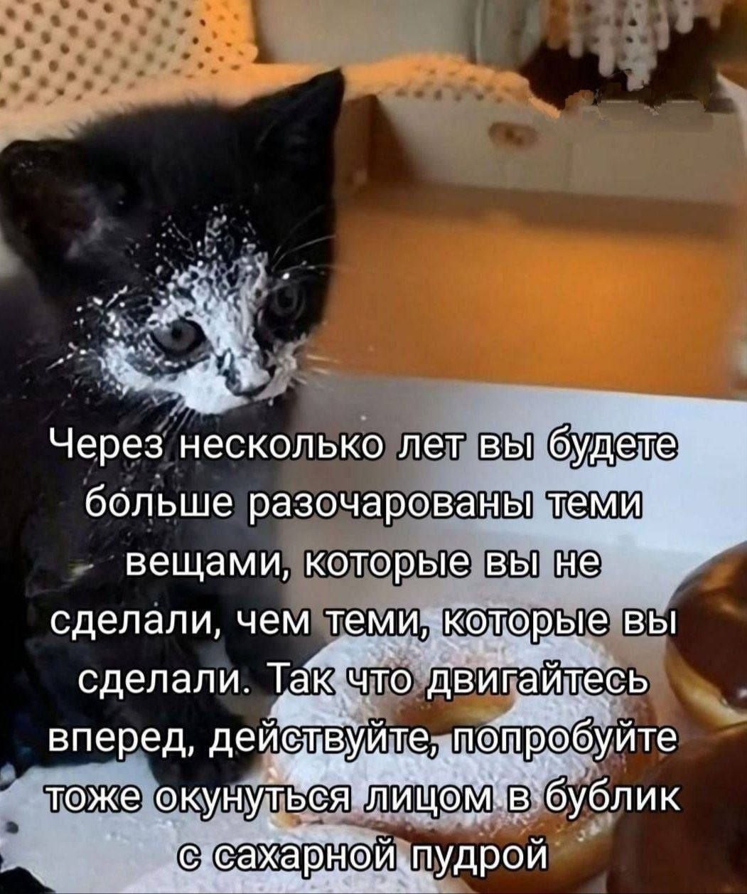 3 Через несколько лет вы буд больше разочарованы теми вещами, которые вы не сделали, чем теми, которые Bbl сделали. Tak ‘что двигайтесь вперед, Non тоже окунуться ‘В`бублик с сахарной пудрой