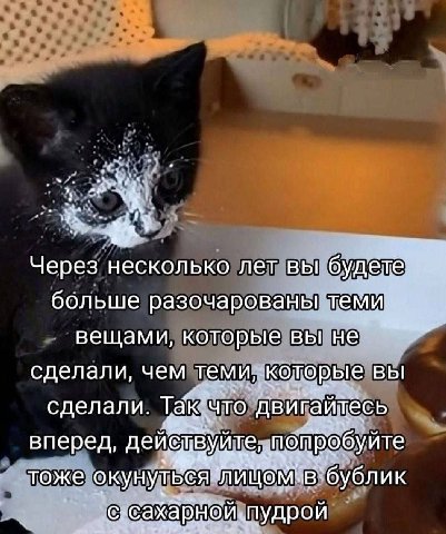 3 Через несколько лет вы буд больше разочарованы теми вещами, которые вы не сделали, чем теми, которые Bbl сделали. Tak ‘что двигайтесь вперед, Non тоже окунуться ‘В`бублик с сахарной пудрой
