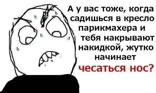 вас тоже, когда садишься в кресло парикмахера и тебя накрывают накидкой, жутко or начинает чесаться нос?