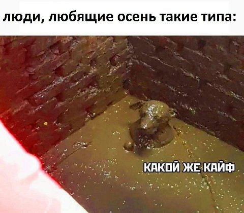 люди, любящие осень такие типа: КАКОЙ ЖЕ КАЙФ.