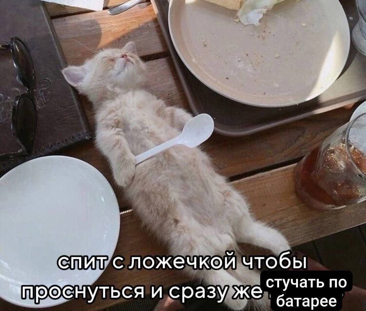 ложечкой чтобы стучать по проснуться и сразу же