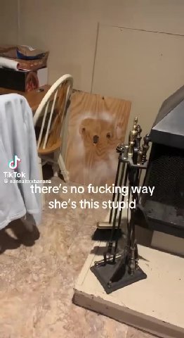 TikTok nannahxxbanana there’s no fucking way she’s this stupid