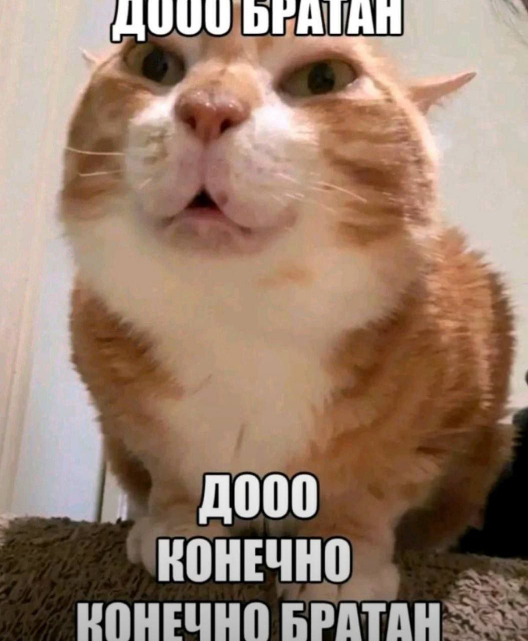 000 КПНЕЧНО